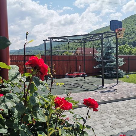 Dió vendégház Praid Esterno foto