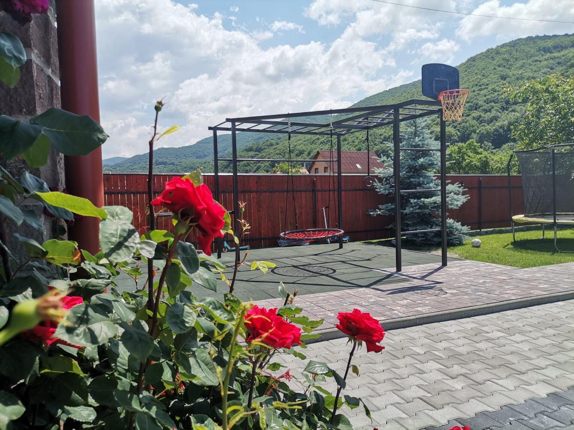 Dió vendégház Praid Esterno foto