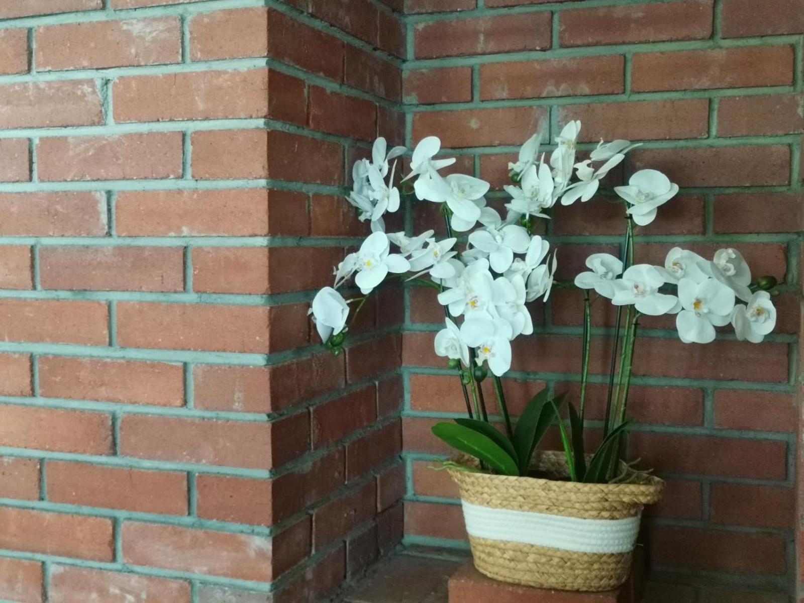 Dió vendégház Praid Esterno foto